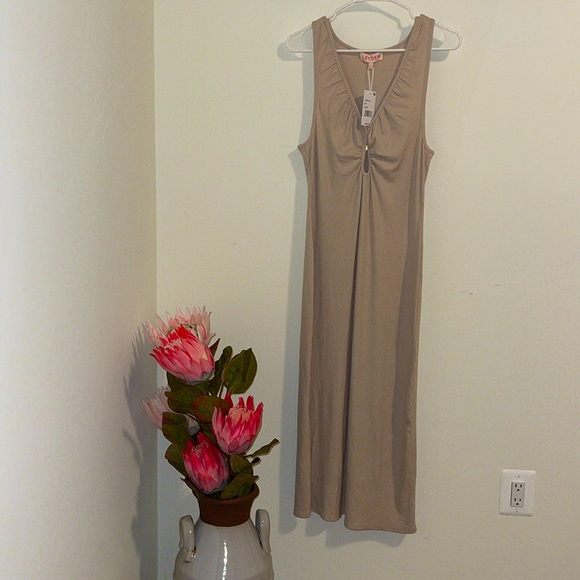 Leyden Dresses & Skirts - LEY DEN DRESS NWT